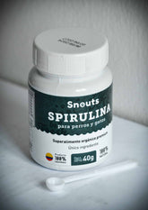 Espirulina – Spirulina